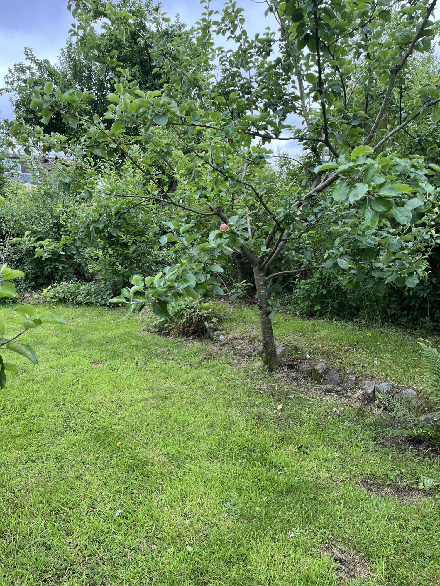 Apple Cottage ニュートン・スチュワート エクステリア 写真